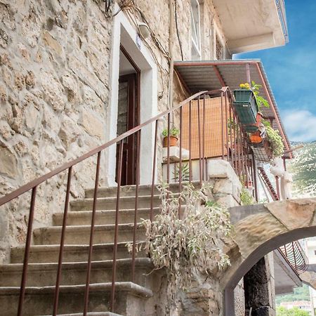 Apartment Ivana Makarska Zewnętrze zdjęcie